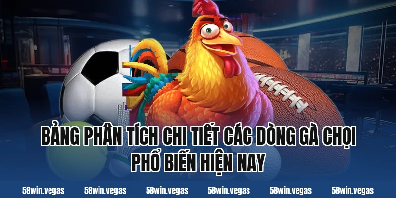 Bảng phân tích chi tiết các dòng gà chọi phổ biến hiện nay