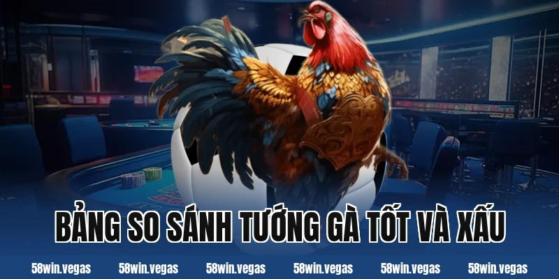 Bảng so sánh tướng gà tốt và xấu