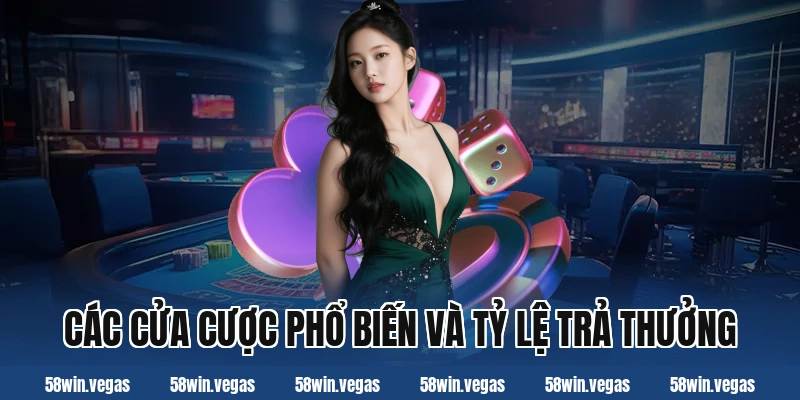 Các cửa cược phổ biến và tỷ lệ trả thưởng