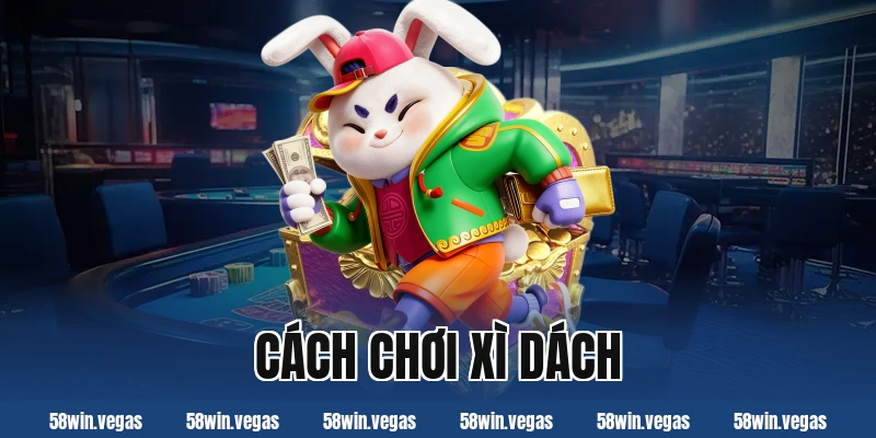 Cách chơi Xì dách dễ hiểu dành cho người mới bắt đầu