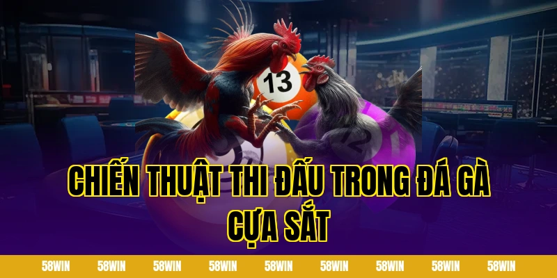 Chiến thuật thi đấu trong đá gà cựa sắt