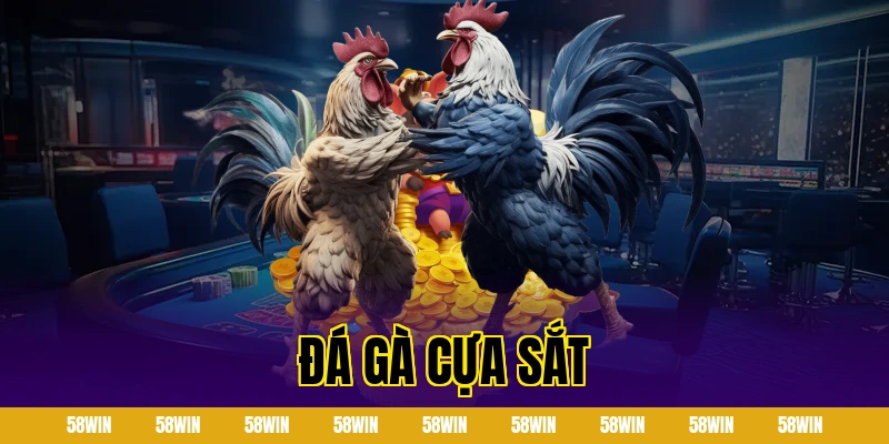 đá gà cựa sắt