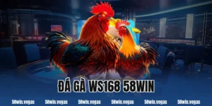 đá gà ws168 58win