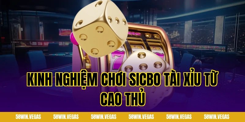 Kinh nghiệm chơi Sicbo tài xỉu từ cao thủ