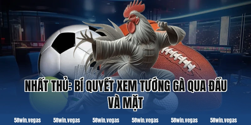 Nhất thủ: Bí quyết xem tướng gà qua đầu và mặt