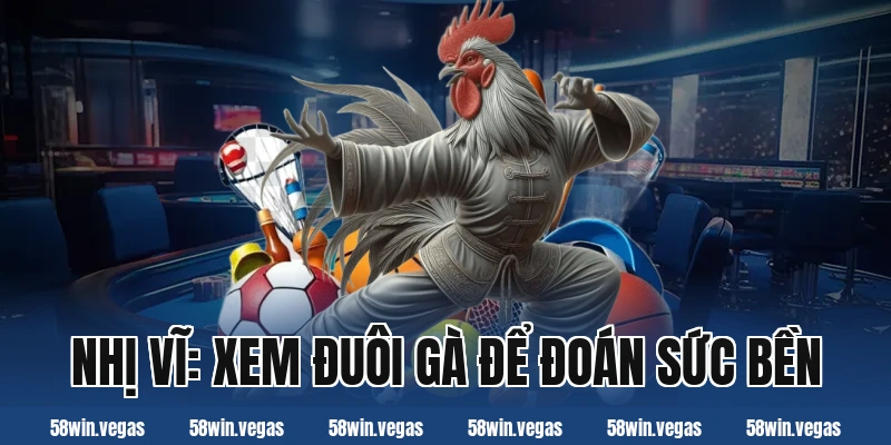 Nhị vĩ: Xem đuôi gà để đoán sức bền