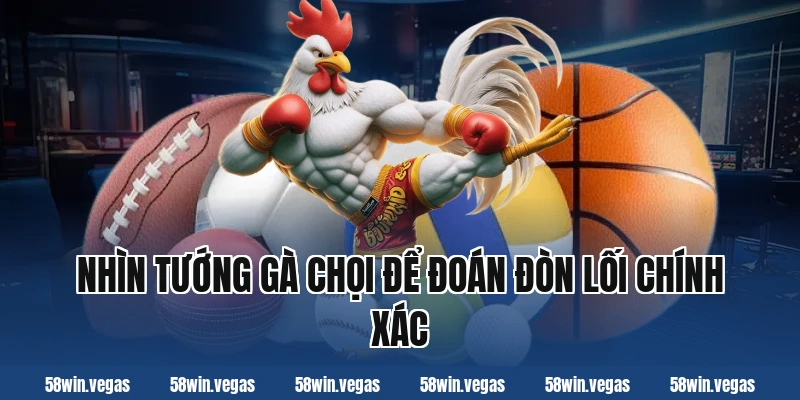 Nhìn tướng gà chọi để đoán đòn lối chính xác