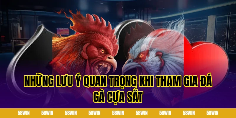Những lưu ý quan trọng khi tham gia đá gà cựa sắt