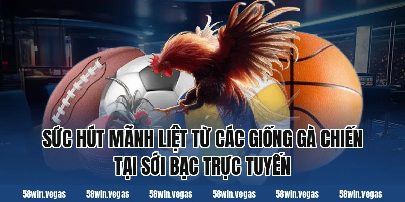 Sức hút mãnh liệt từ các giống gà chiến tại sới bạc trực tuyến