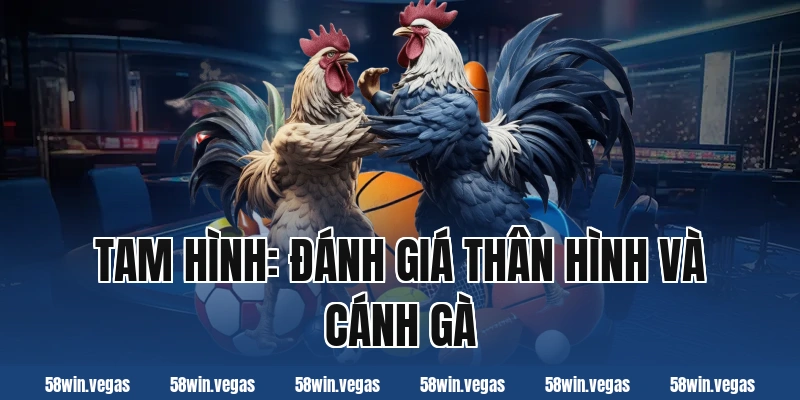 Tam hình: Đánh giá thân hình và cánh gà