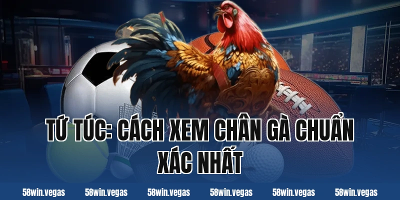 Tứ túc: Cách xem chân gà chuẩn xác nhất