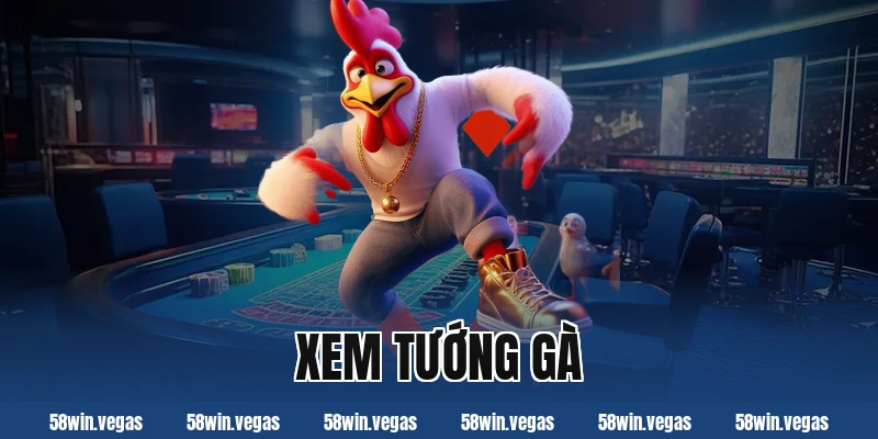 Cách xem tướng gà chuẩn xác cho người mới bắt đầu